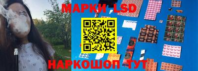 гидропоника Будённовск