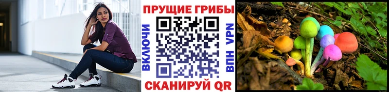 Псилоцибиновые грибы MAGIC MUSHROOMS  Ялуторовск 