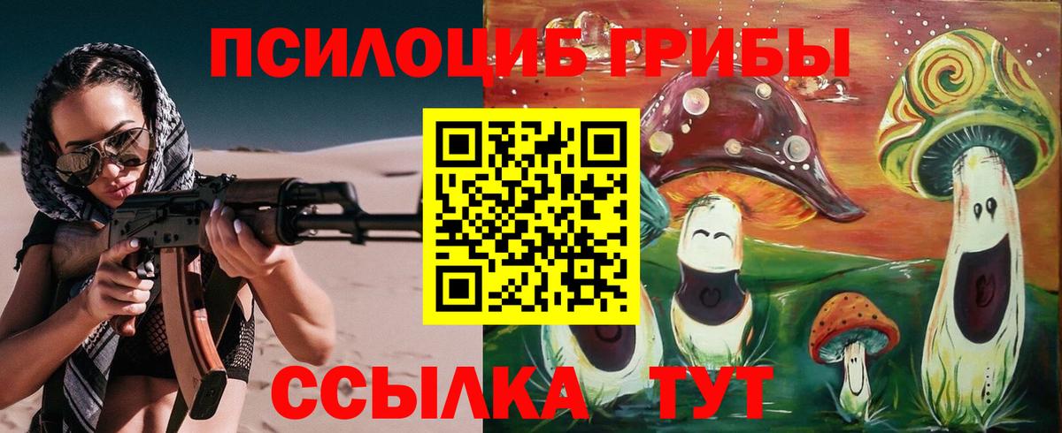 Галлюциногенные грибы Psilocybine cubensis Ялуторовск