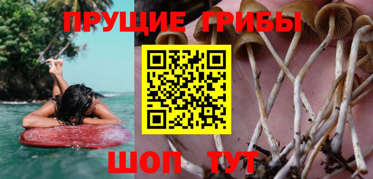 Конопля  Меф МЯУ МЯУ   COCAIN  Вейп ТГК  Alpha PVP СОЛЬ кристаллы  Ялуторовск  Гашиш  Продажа наркотиков  Вход с VPN 
